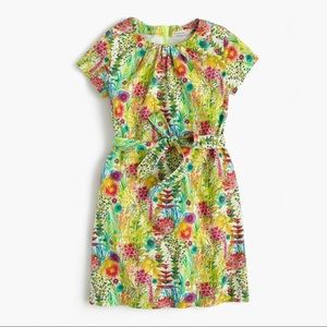 Crewcuts dress